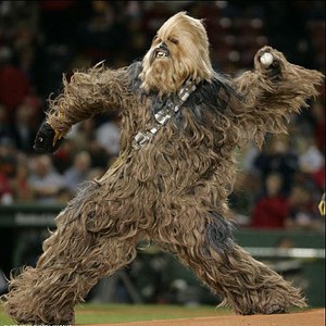 Team Page: Wookie of the Year